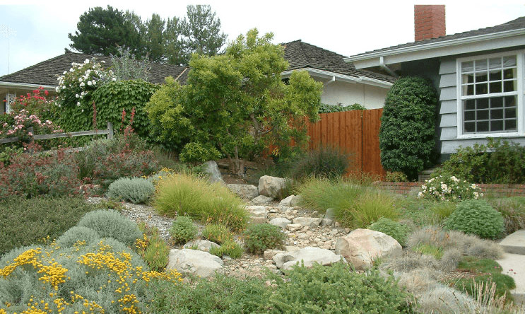 Front yard