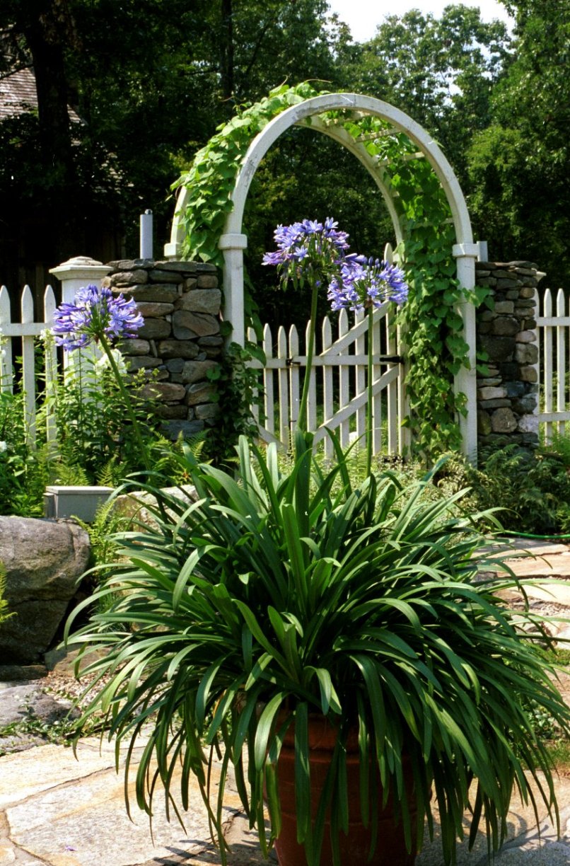 White Arched Gate