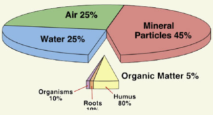 Rich Soil photo