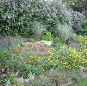 Cary Gardner Garden