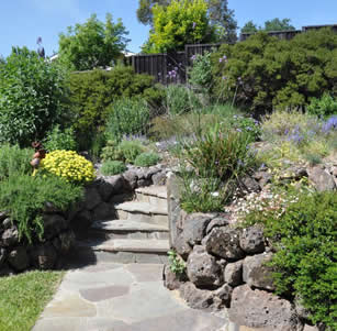 English California Garden