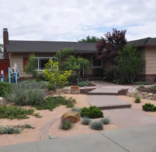 Fruit Tree Garden