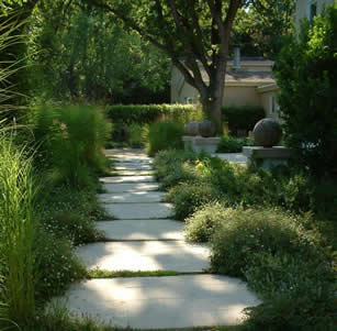 Ornamental Grass Garden