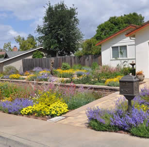 Native Color Garden
